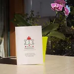 فندق Damodoro
