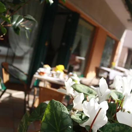 Hotel Damodoro